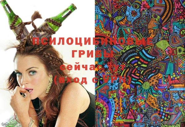 Альфа ПВП Михайловск