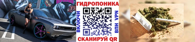 Марихуана Ganja  OMG маркетплейс  Красково  сколько стоит 